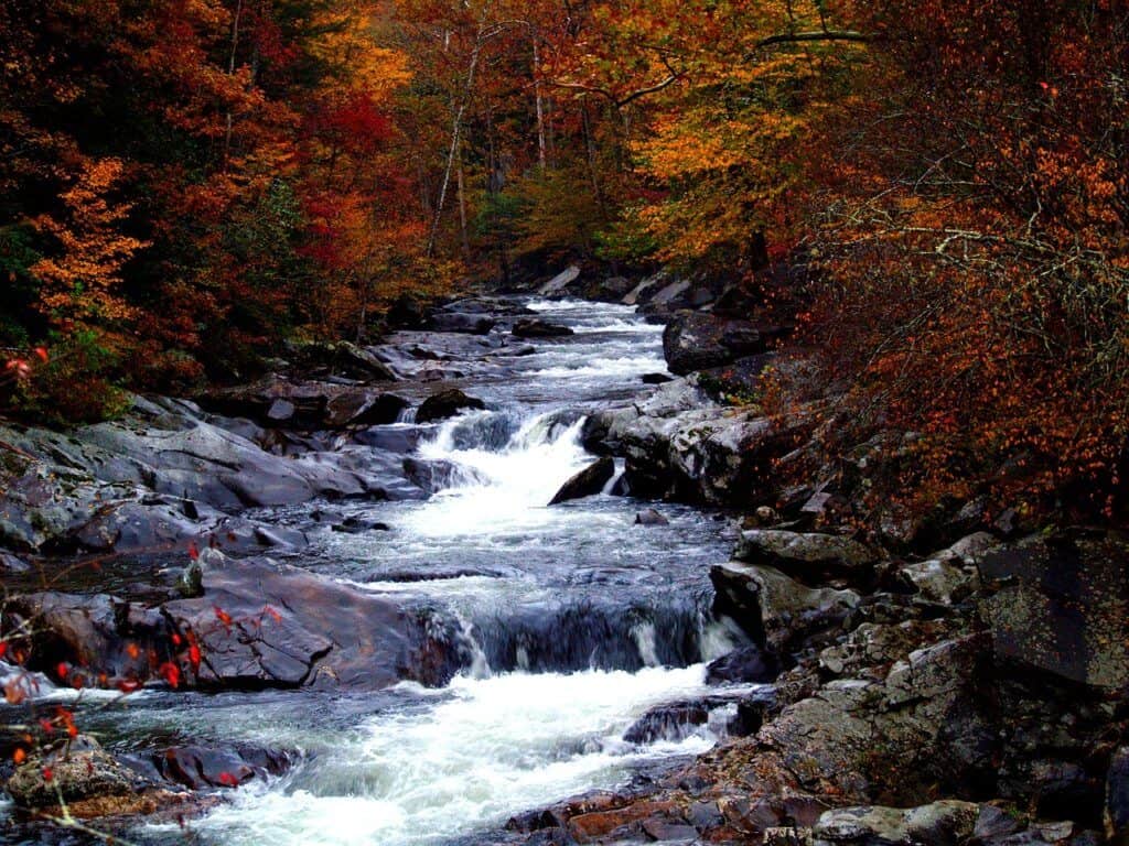 Nantahala National Forest