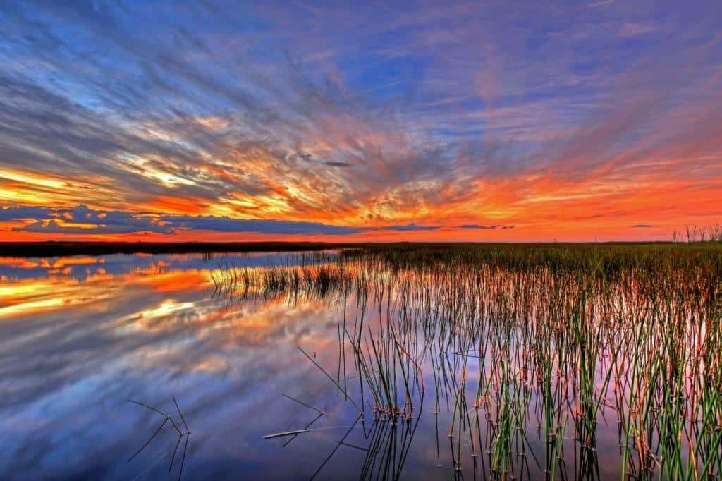Best National Parks to Visit in Winter A winter sunset in Everglades National Park.