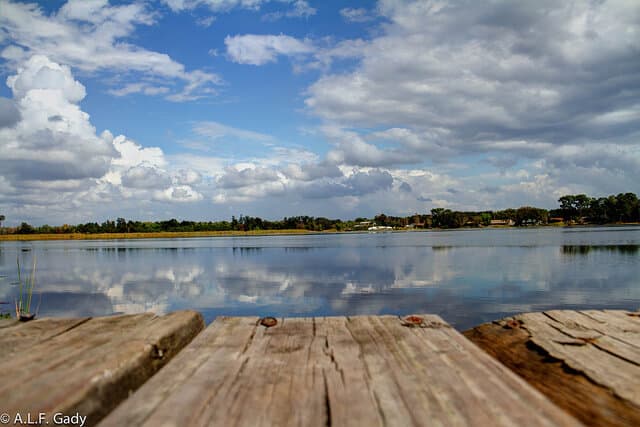 Woody Clouds by Antoine Gady