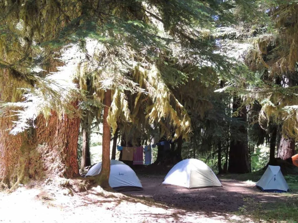 Several tents set up under a canopy of trees in Sol Duc Campground, Olympic National Park. 