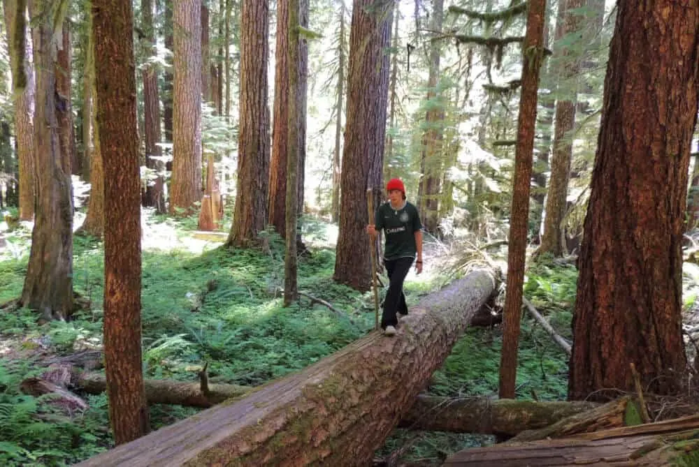 A boy walks across a long on the Lover's Lane trail in Sol Duc Valley.