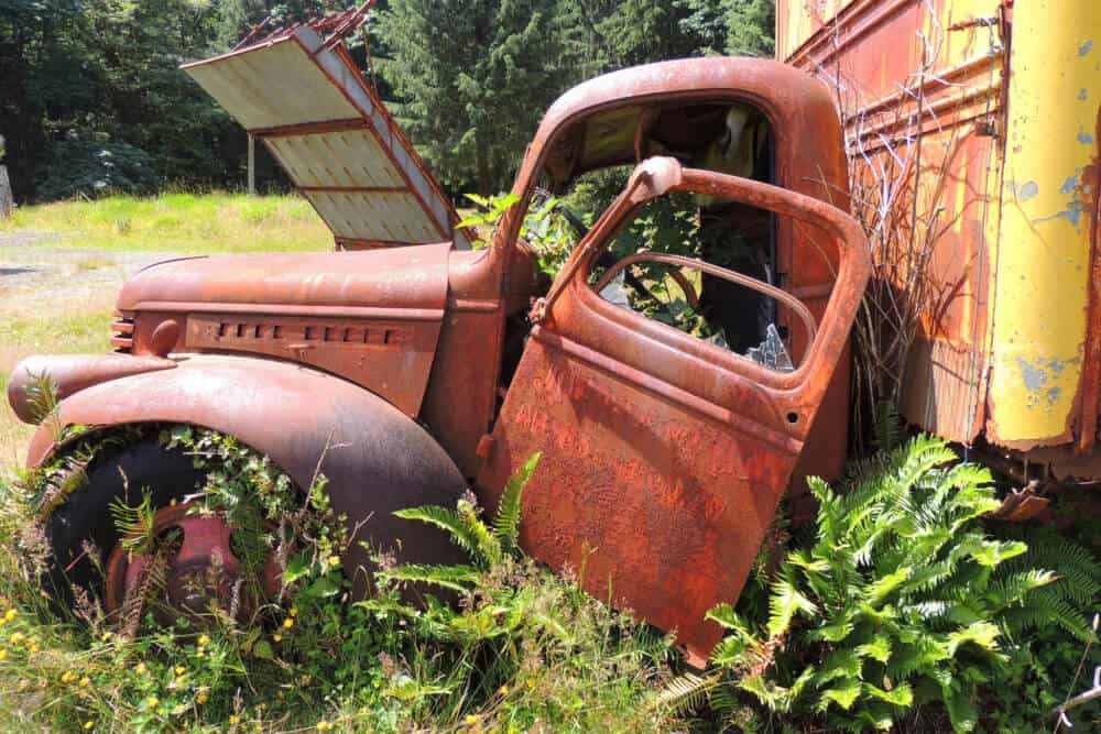 A rusty truck is being taken over by weeds at the Kestner Homestead in Quinault Rainforest.