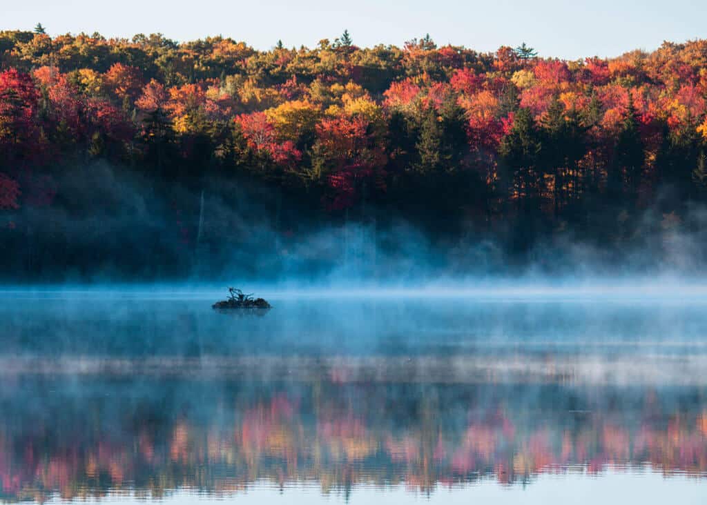 Fog rises off Adams Reservoir in Woodford State Park, Vermont in the fall.