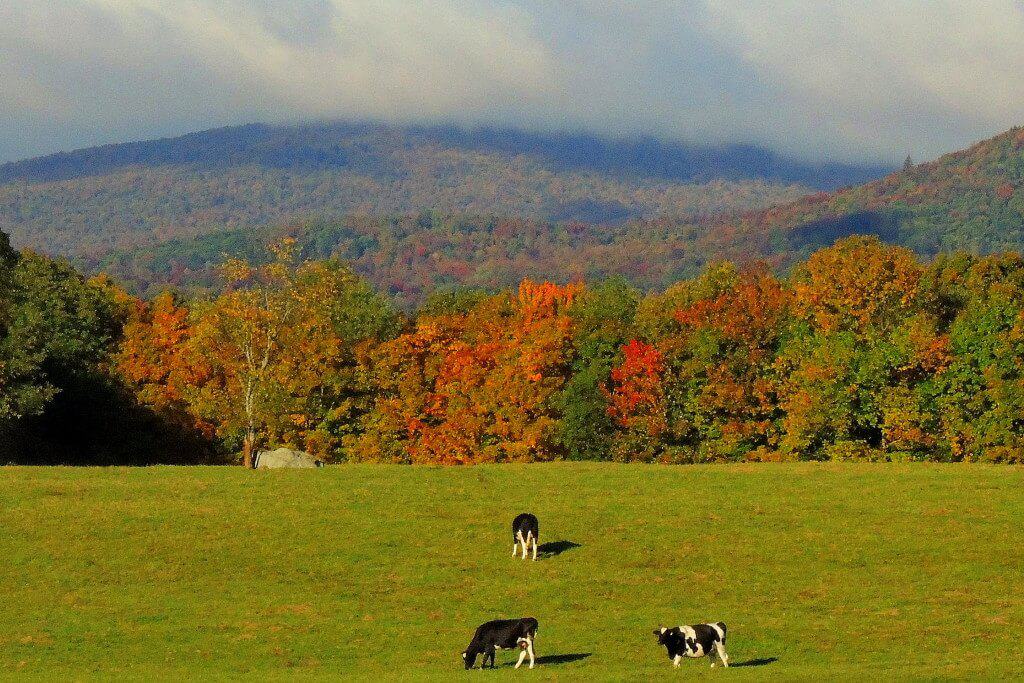 Southern Vermont Getaway A view of the mountains in the fall from Boyd Hill Road in Wilmington, VT