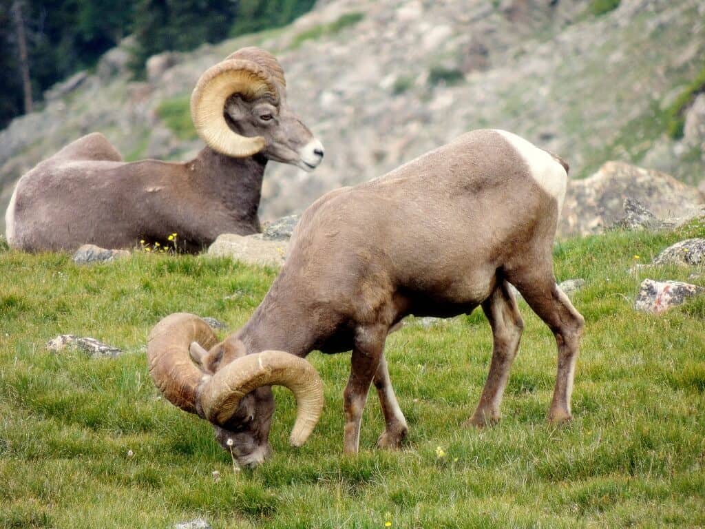 Rocky Mountain National Park