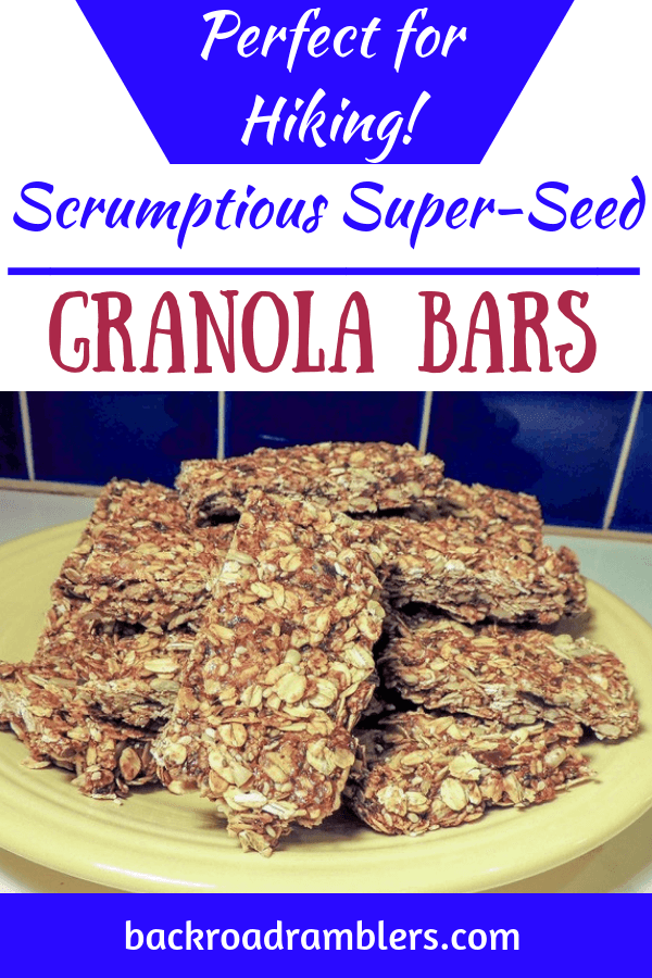 Sturdy and Delicious SuperSeed Granola Bars for Hiking