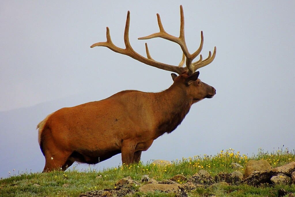 Rocky Mountain National Park