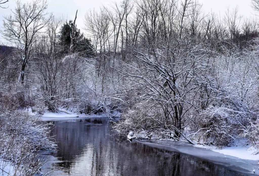 A snow covered scene with a placid stream and bare trees.