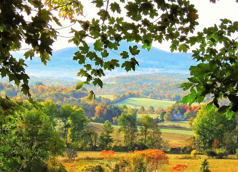 A fall foliage scene featuring farms and fields near North Bennington, Vermont.