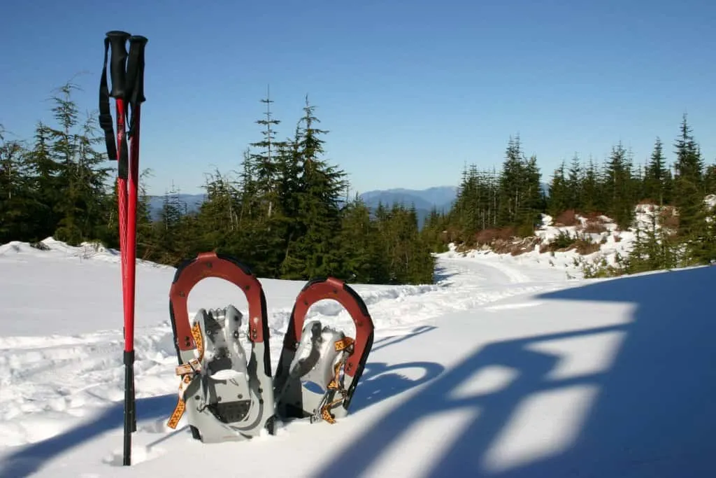A pair of snowshoes and snowshoe polls sticking out of the snow.