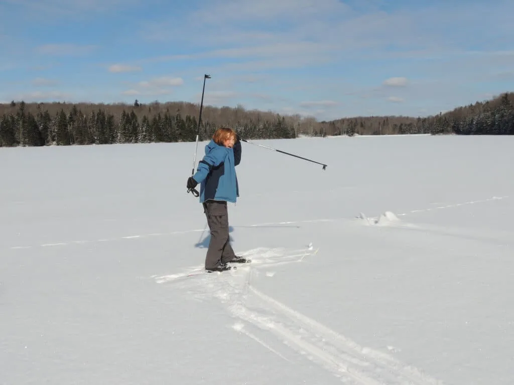 Cross-country skiing Woodford State Park in Vermont.