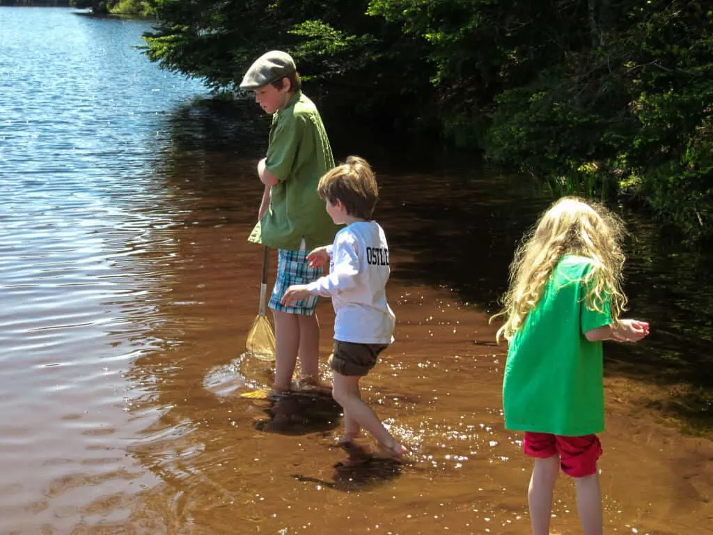 Three kids explore the shallow waters in Woodford State Park VT.