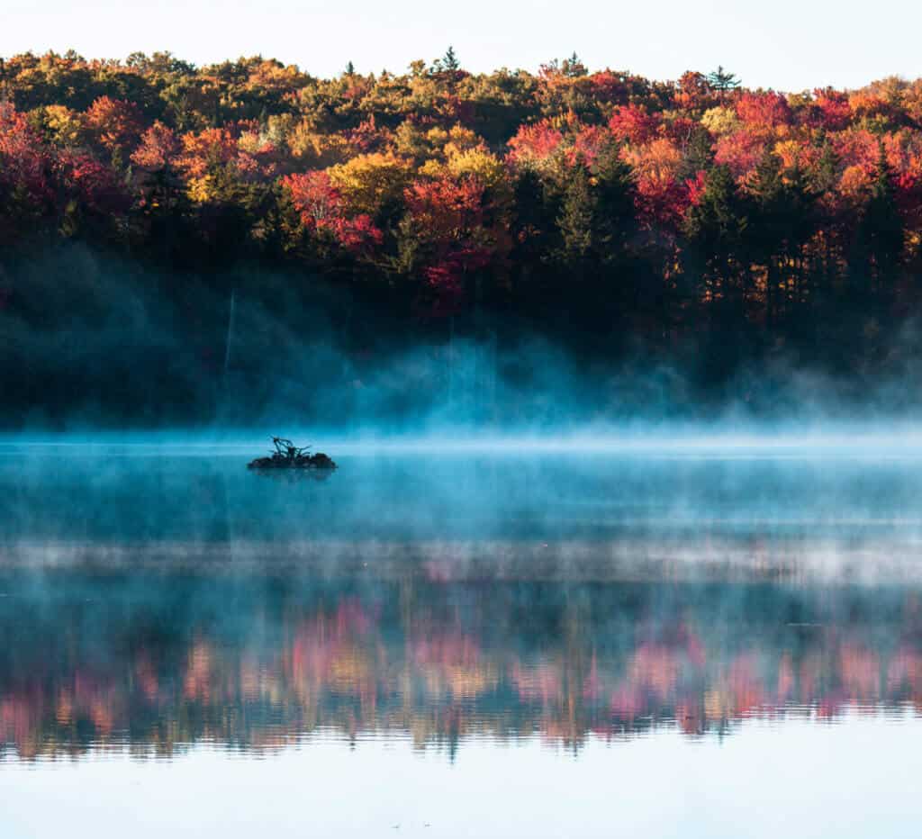 A fall scene at Woodford State Park in Vermont. Fog lifts off the pond and is surrounded by colorful trees.