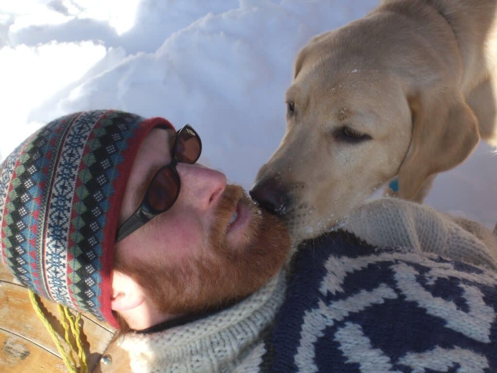 A man lays in the snow with sunglasses on, while a yellow lab sniffs his face.