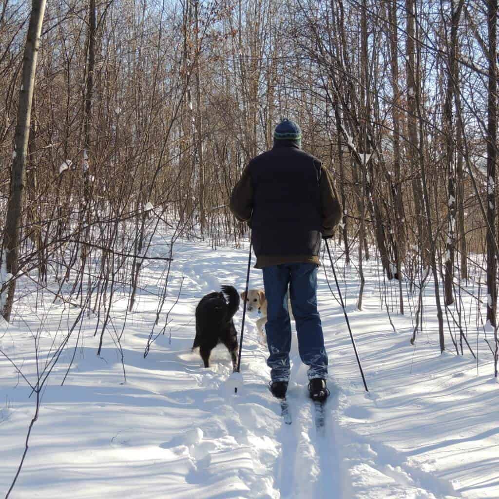 Our Favorite Tips for Skiing and Snowshoeing with Dogs