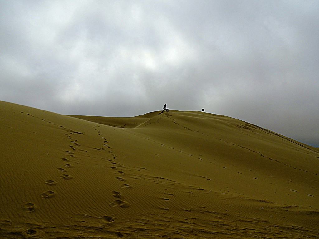 The sand dunes at Oregon Sand Dunes