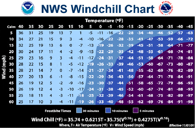 windchill chart for your dog