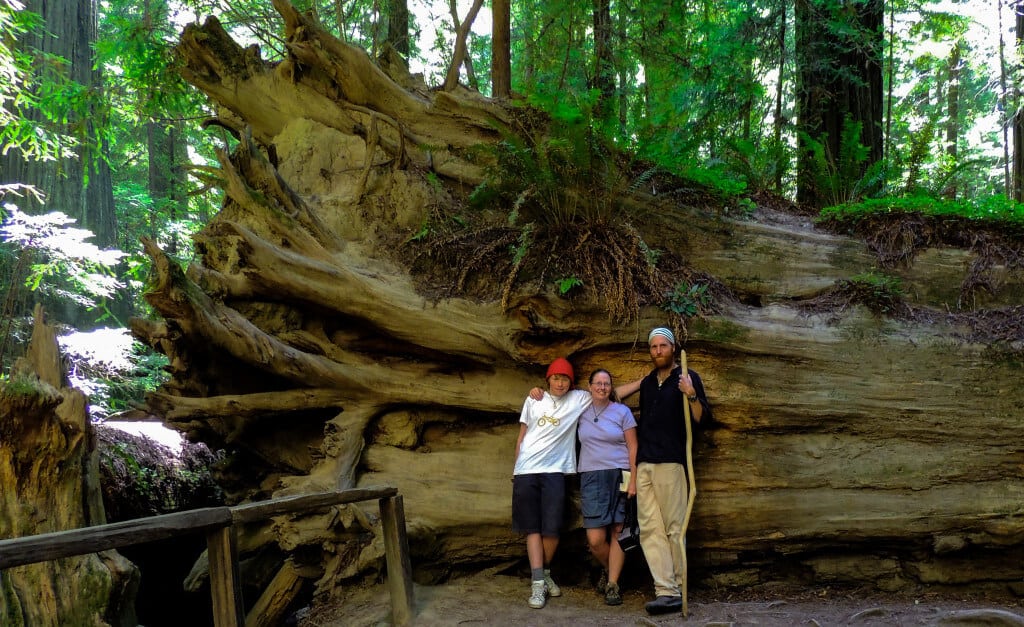 Jedediah Smith Redwoods State Park Three hikers lean against a tree in Jedediah Smith Redwoods State Park