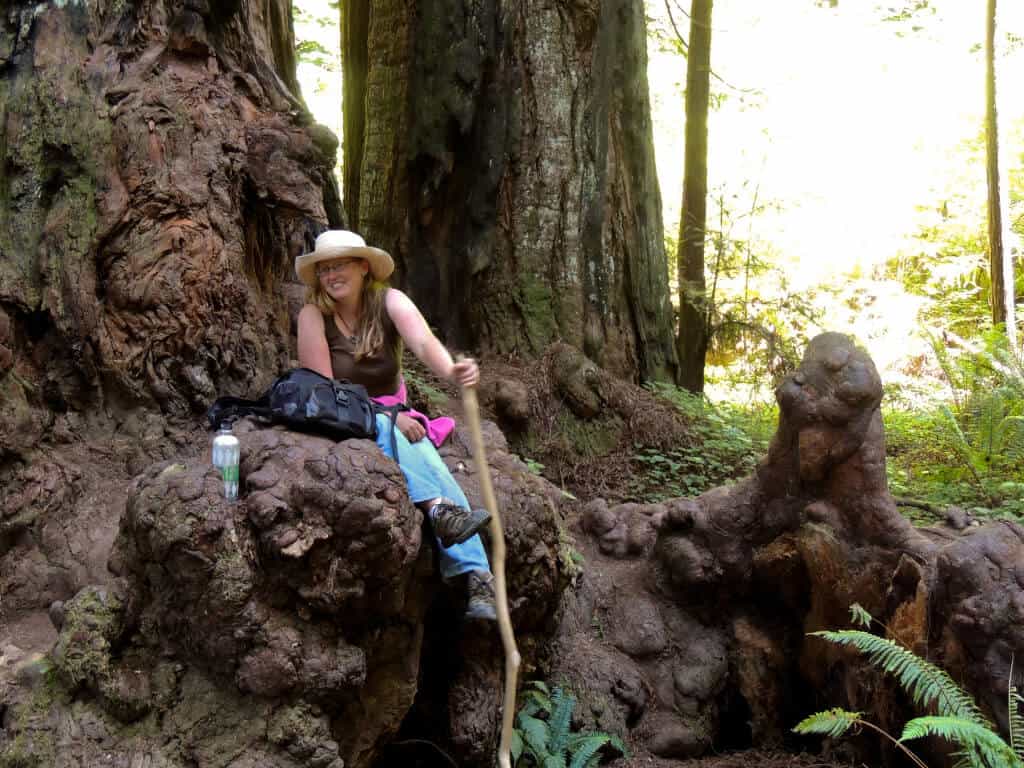 Jedediah Smith State Park A woman sits in the crook of a tree in Jedediah Smith Redwoods State Park