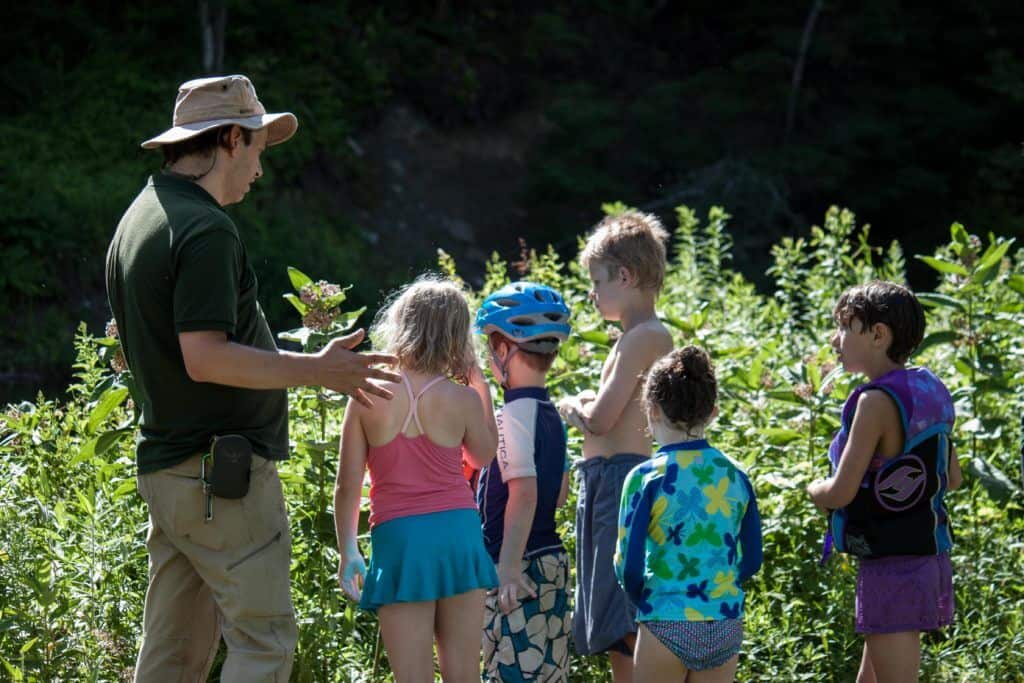 Little River State Park VT A group of kids look for butterflies during a talk at Little River State Park in Waterbury.