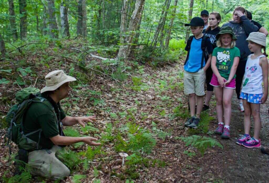 Little River State Park Vermont Checking out a poisonous mushroom at Little River State Park
