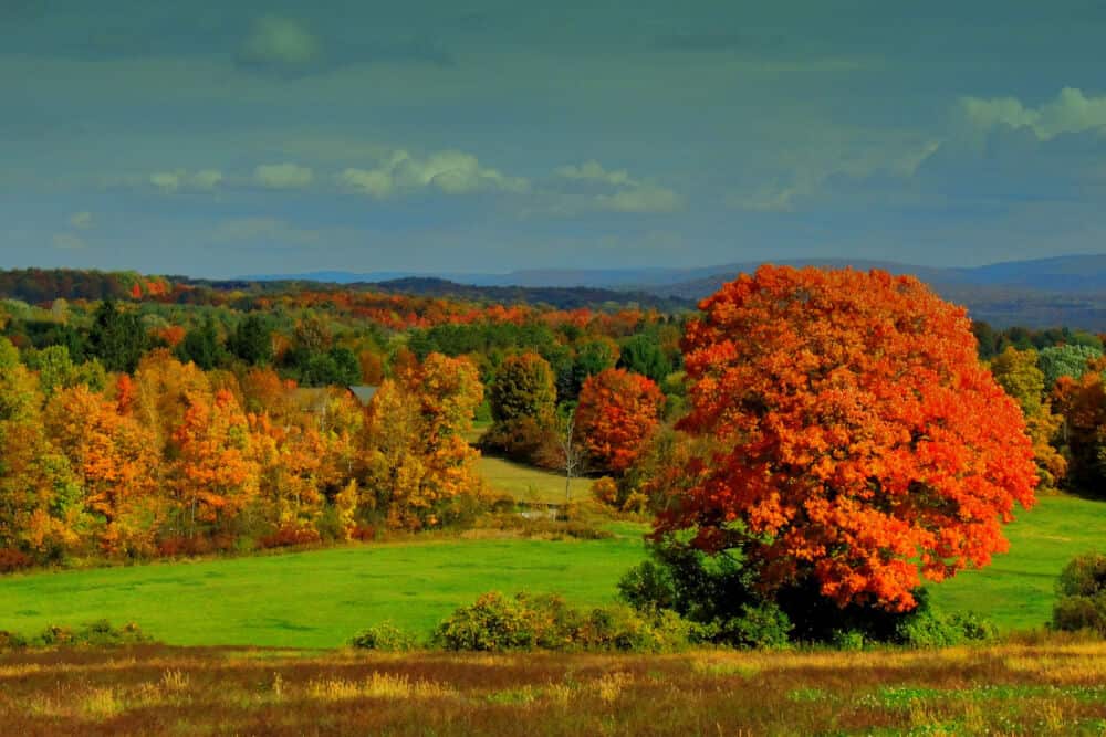 Mile around Woods in North Bennington, Vermont during the fall foliage season.