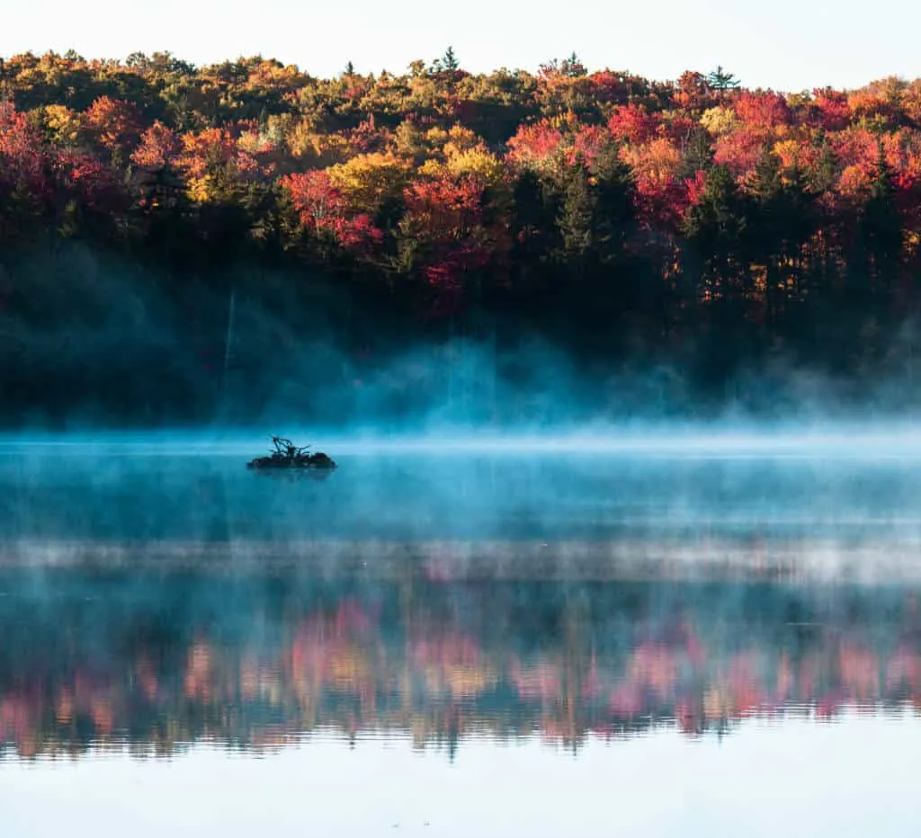 Adams Reservoir, Woodford State Park.