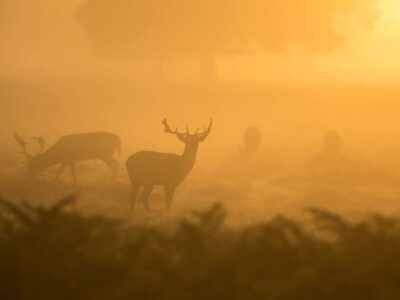 Everything You Need to Know About Hiking During Hunting Season