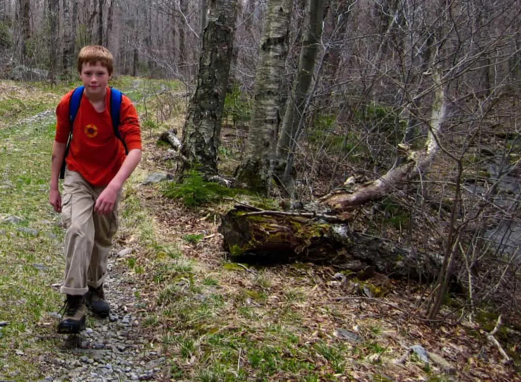 A boy hikes through the woods with a blue daypack.