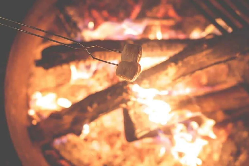 Roasting marshmallows over a campfire. 