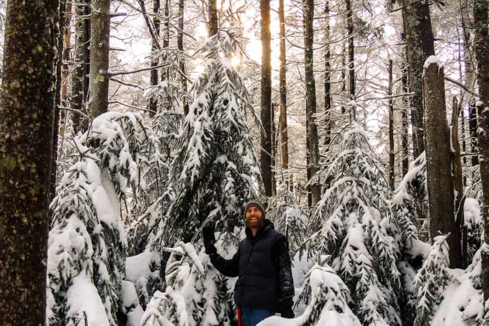 Cut Down Your Own Christmas Tree in your National Forest