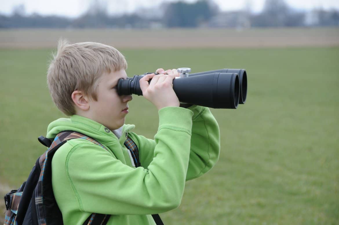 Everything You Need to Know About Bird Watching with Kids