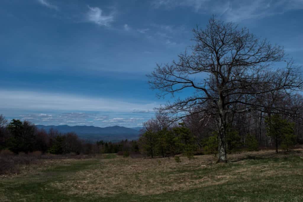 Upper Meadows - Minnewaska State Park