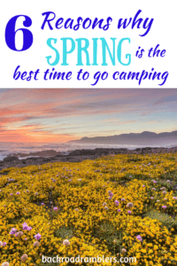 A field of wildflowers with a text overlay. Caption reads: 6 reasons why spring is the best time to go camping.