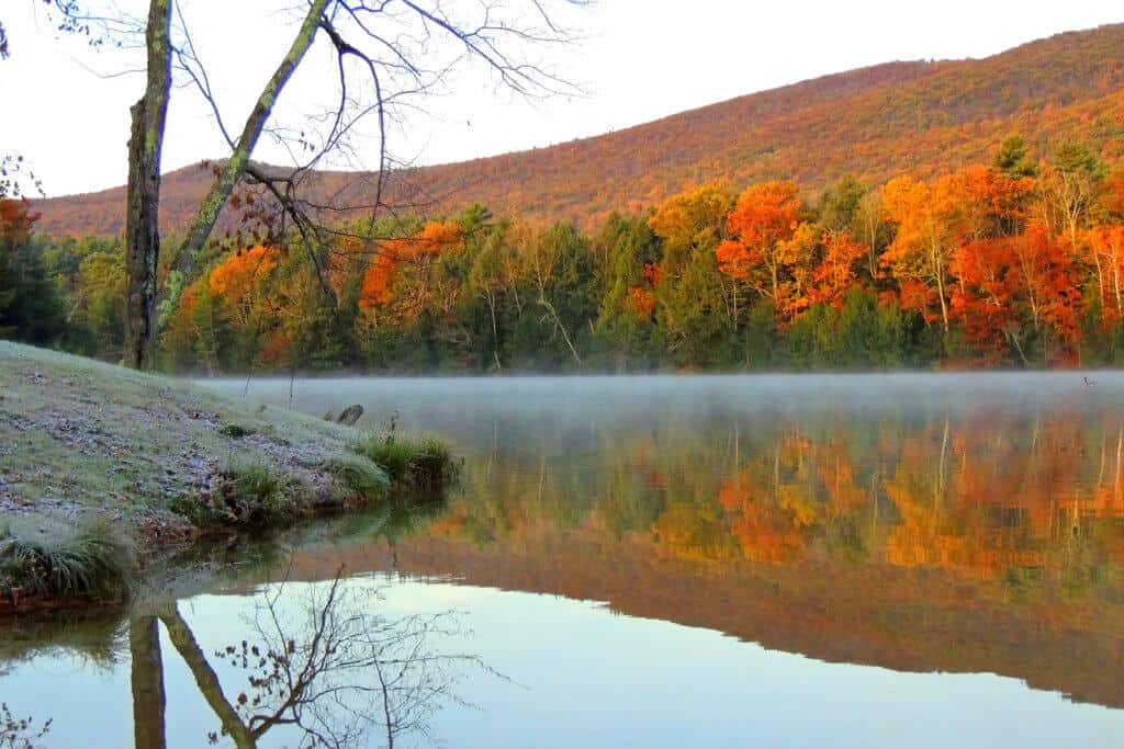 An autumn view from the beach at Lake Shaftsbury State Park. These are our best hikes for kids in Southern Vermont