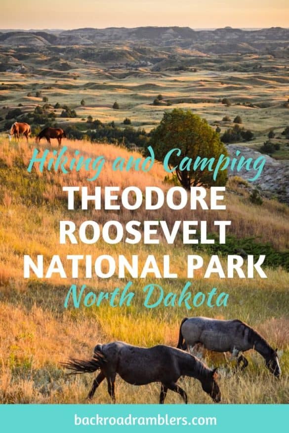 Best Kept Secrets of Theodore Roosevelt National Park