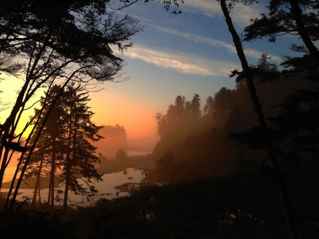 A view from the overlook at Ruby Beach in Olympic National Park. Photo credit: Steve Dean on Pixabay