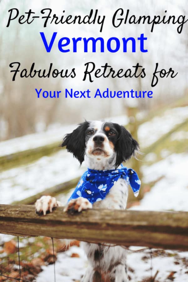 PetFriendly Vermont Vacation Rentals Five Fabulous Retreats