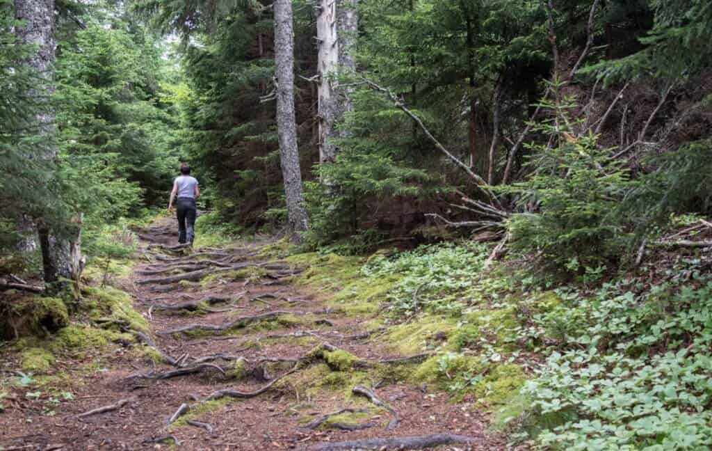 Fundy National Park camping