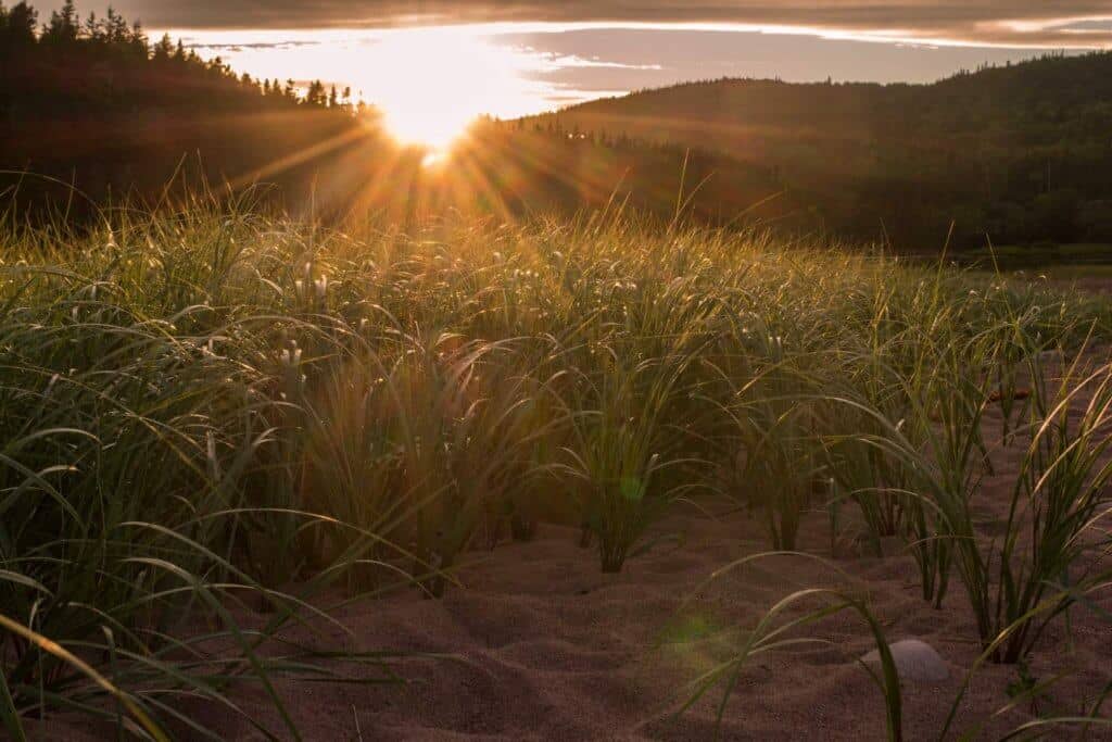 Cape Breton Highlands National Park Camping