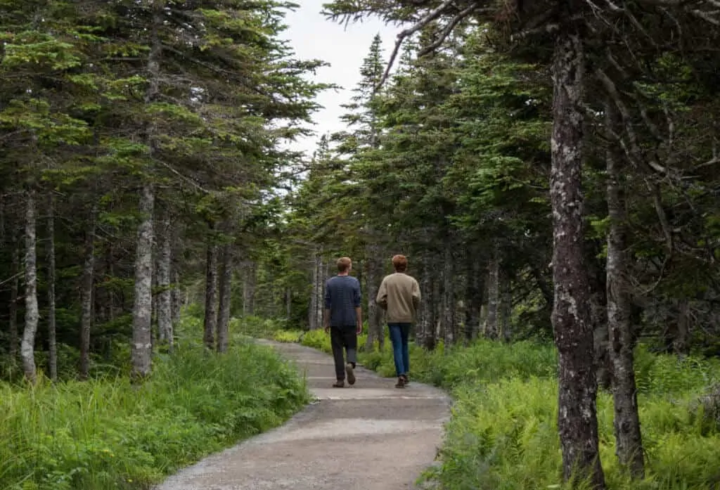 Two young men seen from the back. They are hiking along the Skyline Trail in Cape Breton, Nova Scotia.