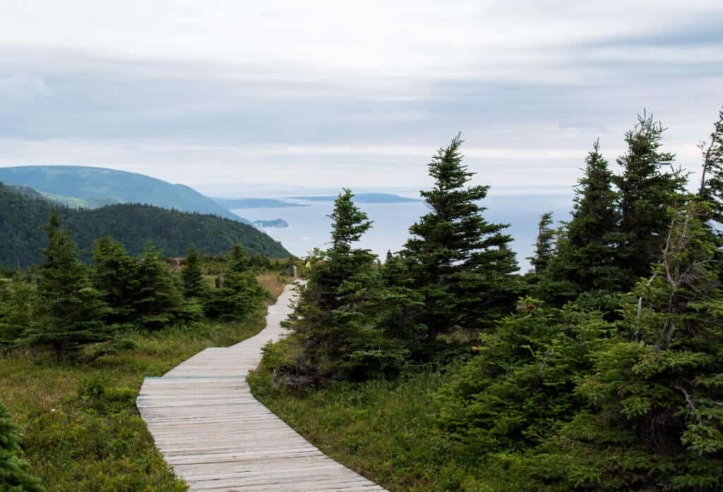 Skyline Trail Cape Breton