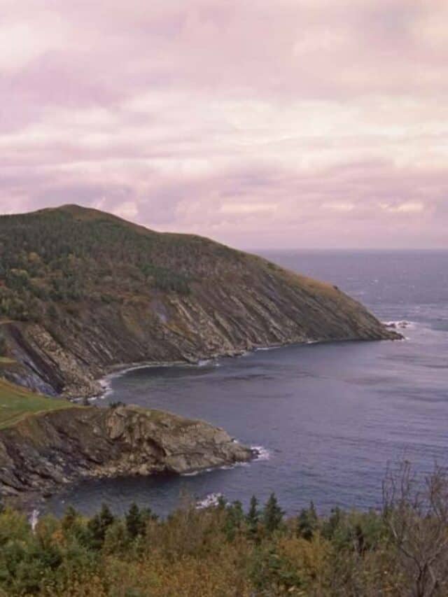 cropped-Meat-Cove.jpg