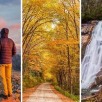 A collage of photos featuring secluded national forests near popular national parks.