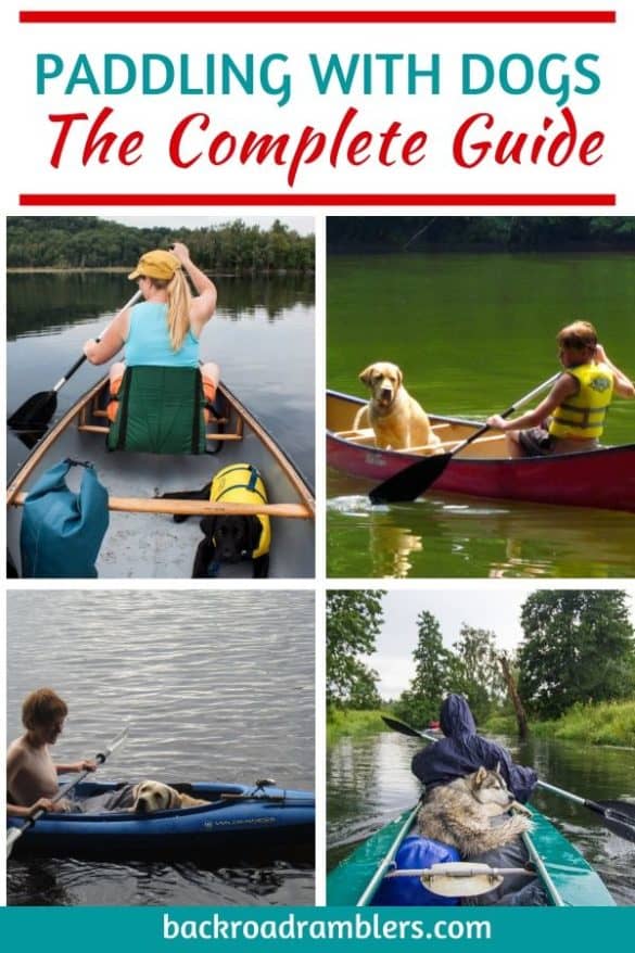 The Complete Guide to Canoeing and Kayaking with Dogs