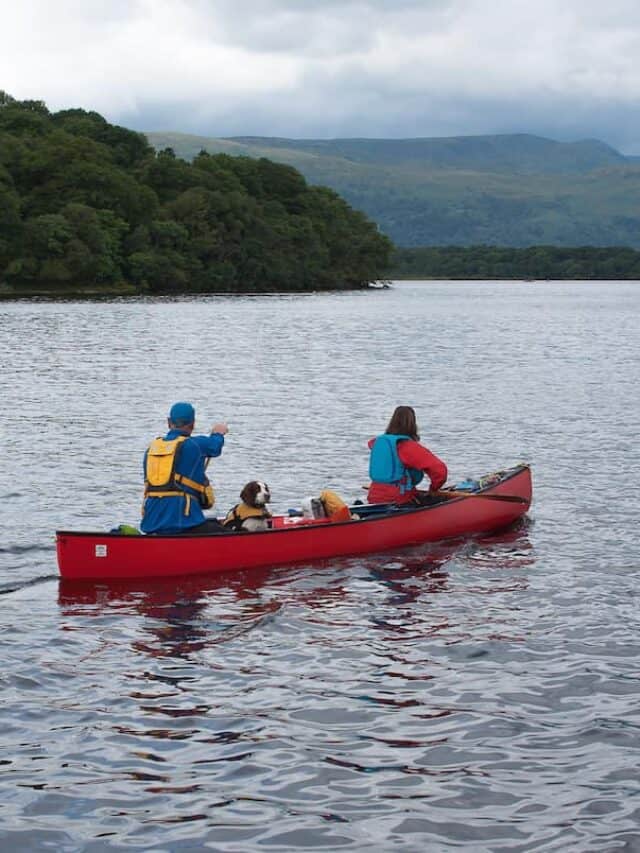 cropped-canoeing-with-dog-dp.jpeg
