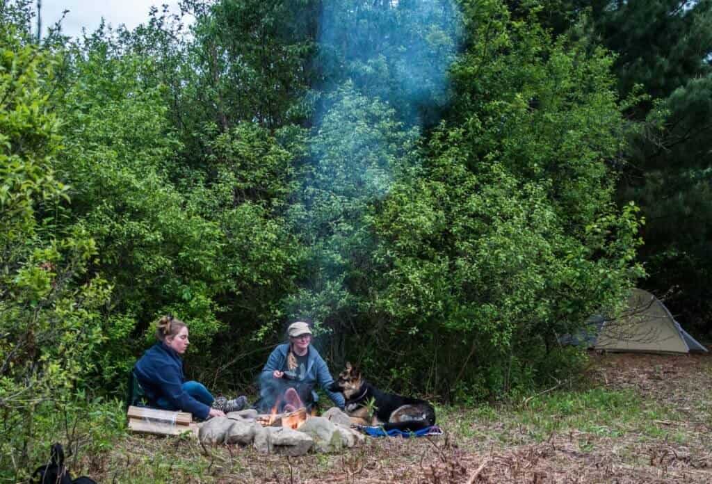 camping etiquette two women sit around a campfire with a German shepherd.