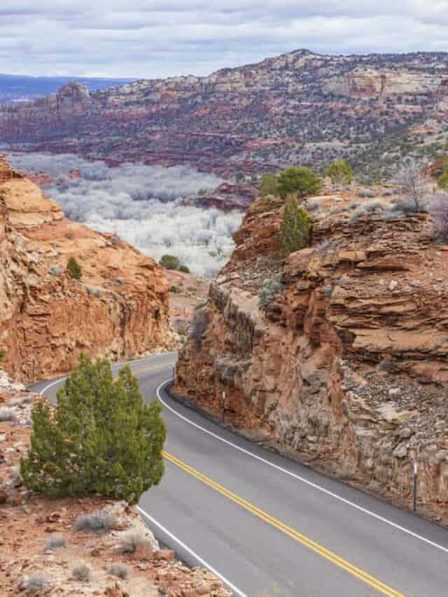 Take an Unforgettable Road Trip on Highway 12 in Utah
