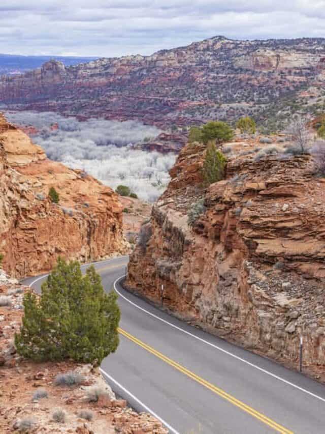 cropped-utah-highway-12.jpeg