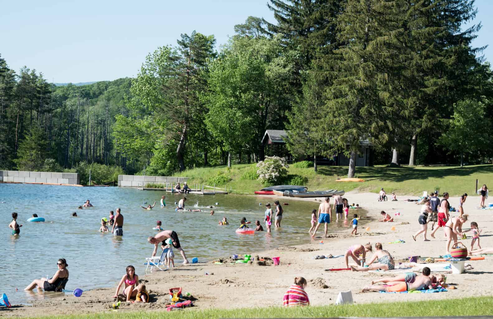 Lake Shaftsbury State Park in all Four Seasons